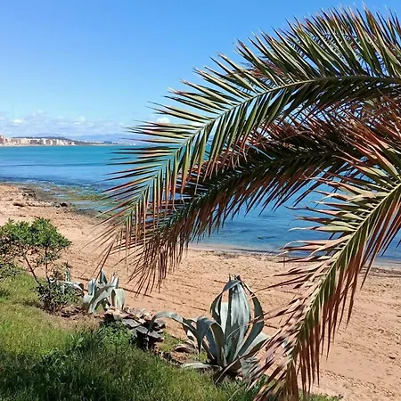 Blanco - Vina Mar Iii Apartment La Mata (Torrevieja)